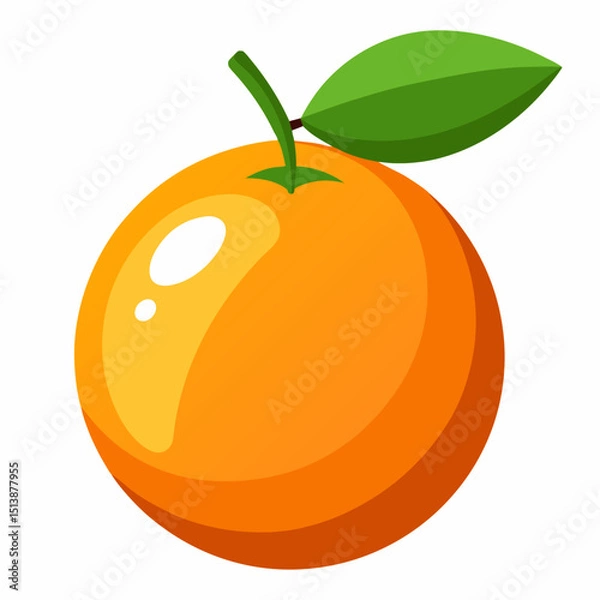 Obraz orange fruit vector illustration