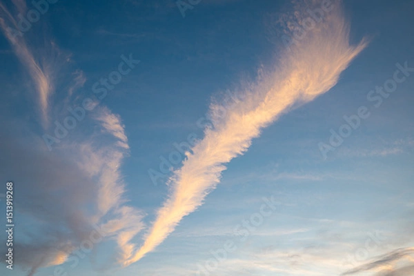 Fototapeta Nice example of a feather cloud, cirrus fibratus