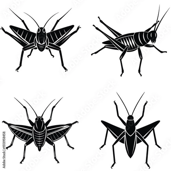 Obraz Close-up macro of isolated small brown and black insect and spider silhouettes with detailed wings and antennae