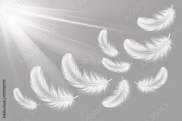 Fototapeta Floating White Feathers Under Bright Light Rays on a Gray Gradient Background