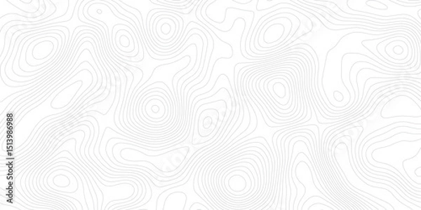 Obraz abstract White wave paper curved reliefs abstract background topographic line contour map background, geographic grid map modern design white background