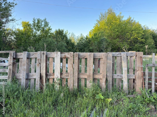 Fototapeta Fence made of pallets and old boards with tall grass and trees