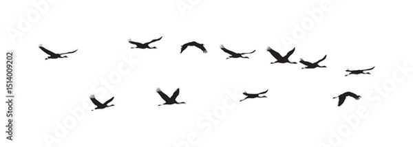 Fototapeta Flock of Wild Birds Flying in Formation Isolated on White Background