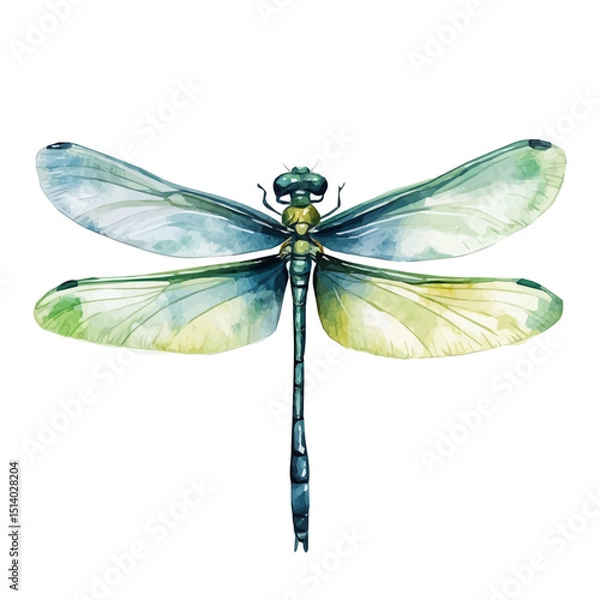 Obraz My Watercolor illustration, dragonfly painting isolated on a white background, illustration, AI painting design, vector illustration set, eps format	
