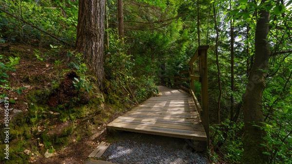 Fototapeta Raised wooden boardwalk with railings on BC urban forest trail.