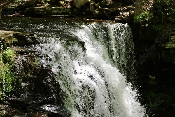 Obraz Forest hike along Loyalsock Creek in Sullivan County on a warm spring day