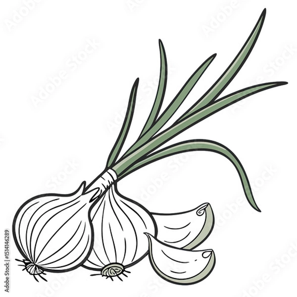 Obraz Fresh garlic bulb and cloves are displayed with vibrant green shoots highlighting its culinary significance and natural appeal ideal for cooking enthusiasts