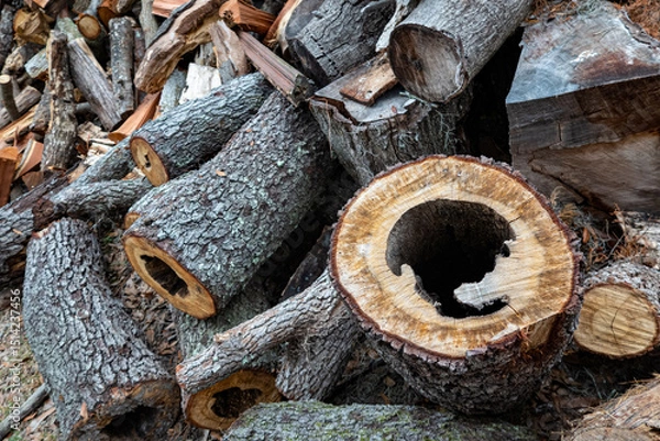Obraz stack of firewood
