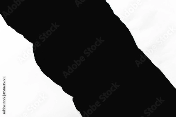 Obraz White paper crumples and torn edges of paper with a black background for graphic design and text insertion.