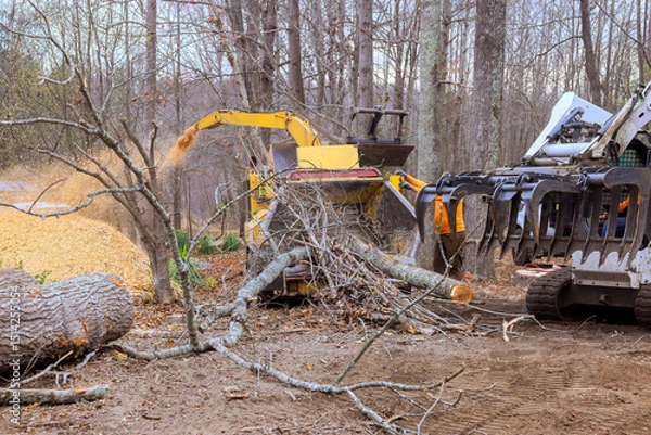 Fototapeta Heavy machinery operates to clear fallen branches trees in forested location, using tree grinder