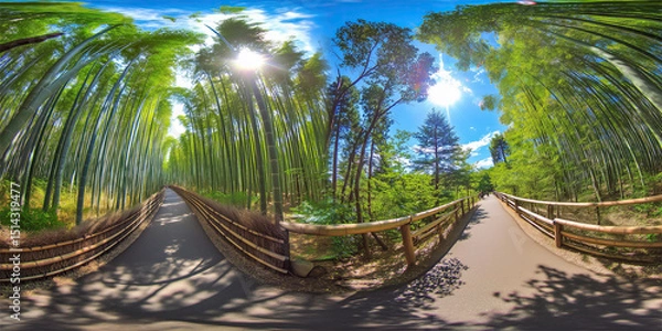 Fototapeta Bamboo forest path exploration nature reserve 360-degree view serenity
