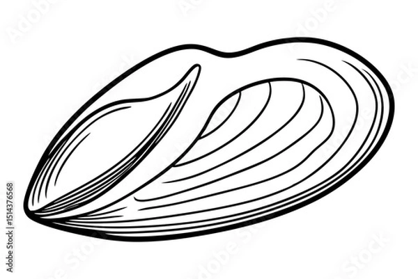 Fototapeta Mussel Shell Open Line Drawing