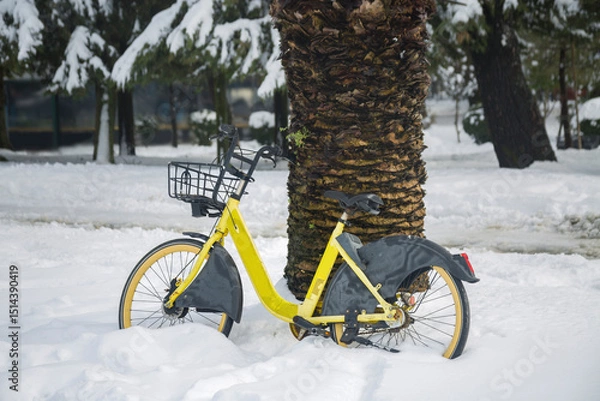 Fototapeta A yellow bicycle with a basket on the handlebars stands in a snowdrift leaning against the trunk of a palm tree