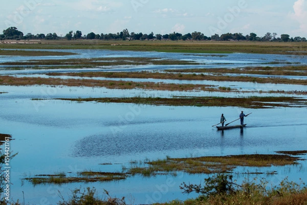 Fototapeta mokoro on chobe river at caprivi in beautiful background setting