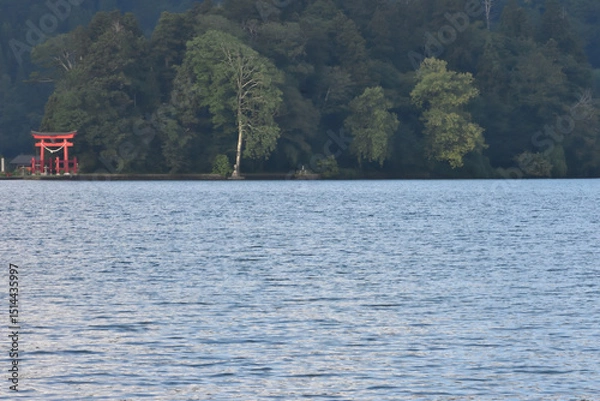 Fototapeta 湖畔のほとりにある鳥居