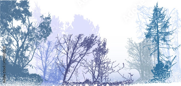Fototapeta Panoramic winter forest landscape with silhouettes of snowy trees, plants and bushes. White, blue, gray and green landscape with snow, bare trees and conifers