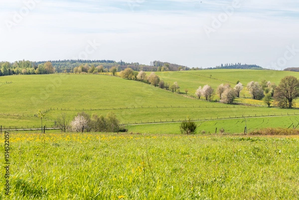 Fototapeta Frühlingslandschaft