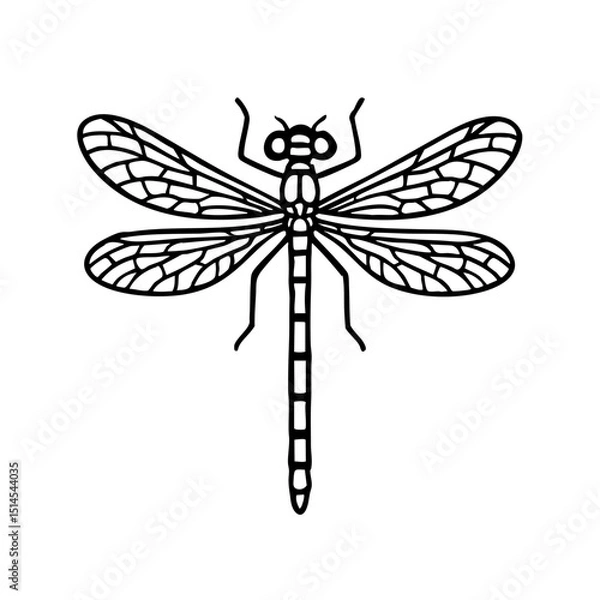 Obraz Damselfly - Order Odonata