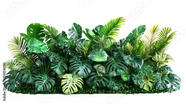 Fototapeta Lush greenery featuring various tropical plant isolated on transparent or white background.