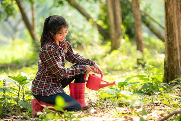 Fototapeta Asia young gardener woman help afforest and water the plant with sapling tree outdoors in forest nature spring for reduce global warming growth feature and take care nature earth.