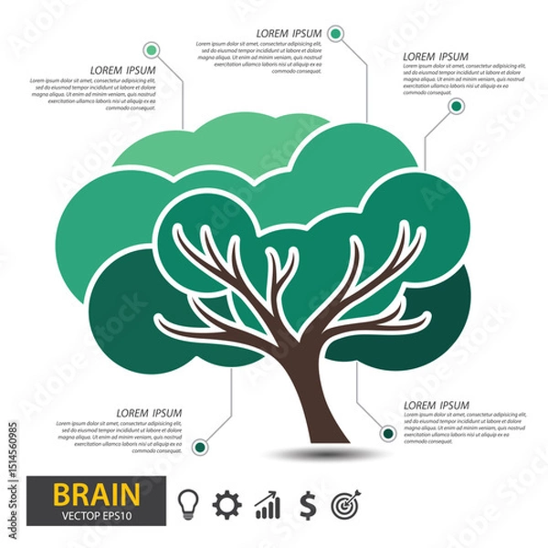 Fototapeta Brain tree design. infographic template for presentation. vector illustration.