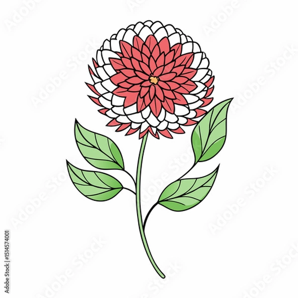 Obraz Globe Amaranth Bloom Flower Botanical Drawing Line Art Vector Illustration