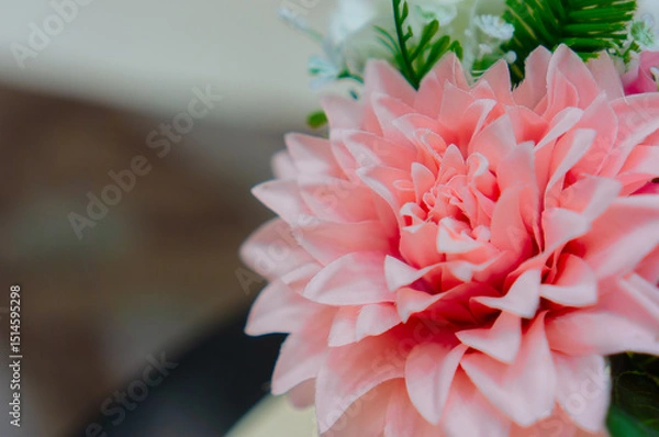 Fototapeta close up of pink flower
