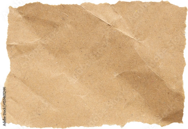 Obraz piece of brown paper tear isolated on white background
