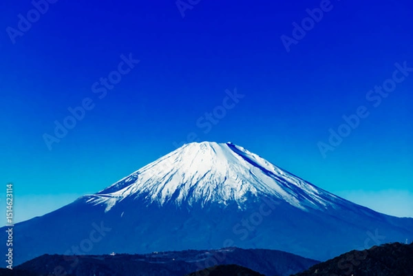 Fototapeta 神奈川県平塚市から見る日本百名山の富士山