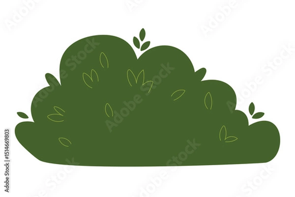 Obraz Decorative green plants in the form of garden shrubs, seasonal shrubs. To decorate a park, garden or green hedge.