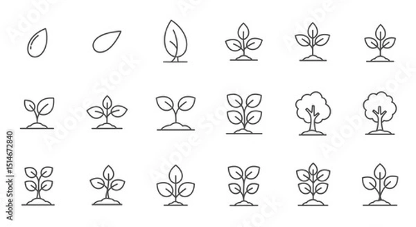 Obraz Plant Growth Stages Seed to Tree - Line Icons Set
