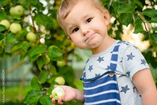 Obraz A small child stands under an apple tree in a garden, taking a bite of a fresh apple. Natural snack, healthy fruit, summer vacation in the countryside, full of joy, taste, and nutrition.