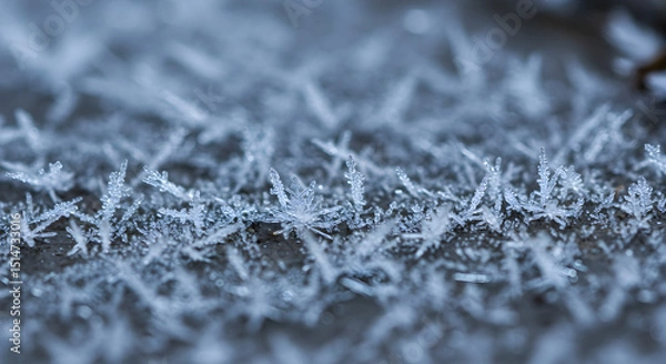 Obraz Frozen crystals in winter, extreme close up.