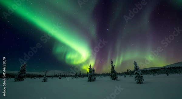 Obraz Majestic Aurora Borealis over a Snow-Covered Landscape