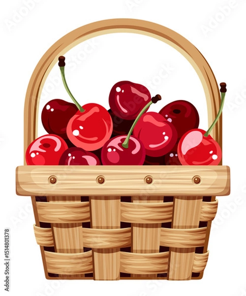 Obraz Woven basket with red cherries isolated on a white background. Vector illustration