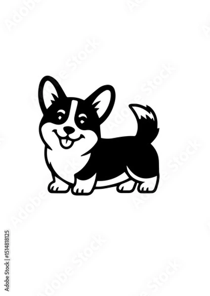 Obraz black and white corgi dog 