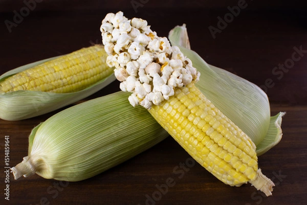 Obraz one corns with corn corn grains and popcorn 