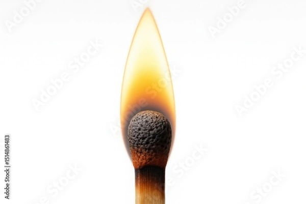 Fototapeta Close up view of a burning matchstick showing the flame combustion and the process of ignition against a bright background.