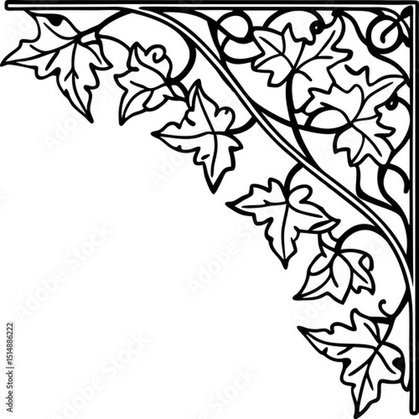 Obraz Decorative corner ornament with ivy leaves botanical outline, elegant curling vine, vintage art design