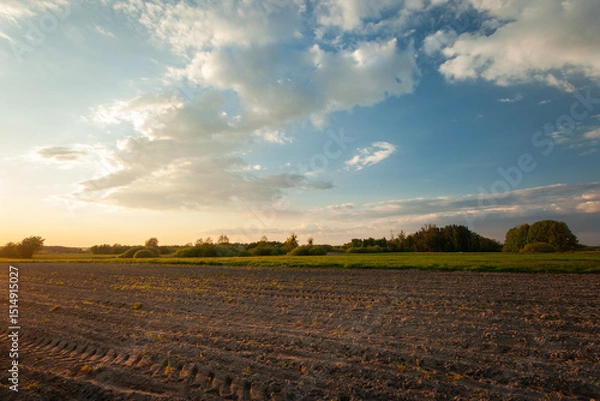 Fototapeta View of a rural ploughed field and a sky with white clouds illuminated by warm sunlight
