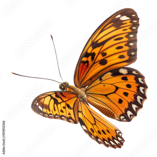 Fototapeta Exquisite Butterfly in Flight: A captivating butterfly, its wings adorned with intricate patterns, gracefully soars through the air, capturing the essence of elegance and freedom.