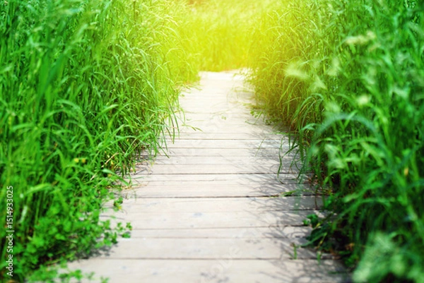 Fototapeta Wooden pathway through tall grass with a sun flare ahead, creating a magical and serene natural scene