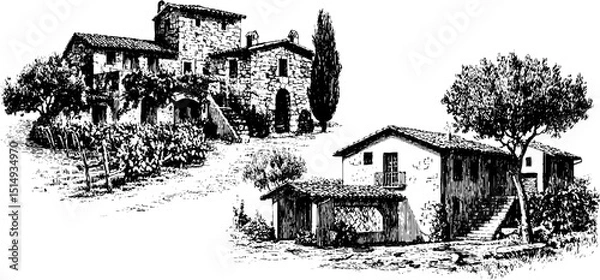 Fototapeta Engraved illustration set of rustic stone farmhouses in vineyard landscape for print design