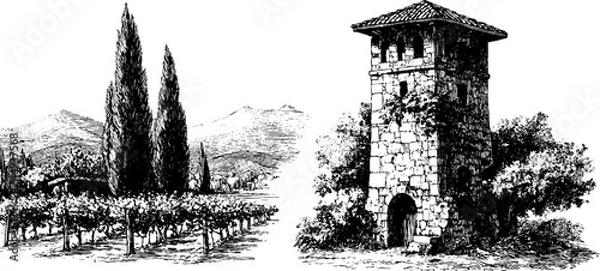 Fototapeta Engraved vineyard and stone structure illustration for historical design and decoration