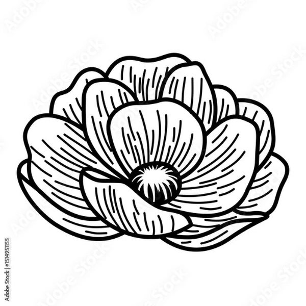 Obraz Hand-Drawn Blooming Flower Vector. Black and White Botanical Line Art Illustration