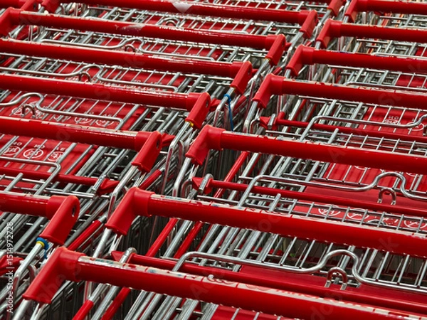 Fototapeta A row of shopping carts is neatly lined up in a straight row