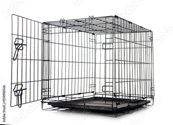Fototapeta pet carrier in studio