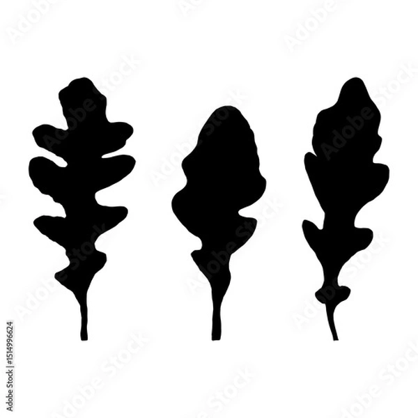 Fototapeta Minimalist arugula silhouette. Salad rocket shapes