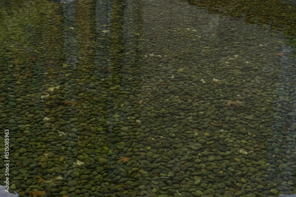 Fototapeta Clear water with green pebbles, natural minimalism, tranquil mood, reflecting cityscape, Seoul, South Korea, Songdo-dong