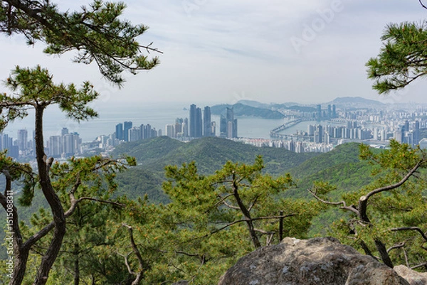 Fototapeta Urban skyline and lush pine trees, natural landscape view, overlooking Busan, South Korea, Jangsan Mountain, with distant city and sea panorama